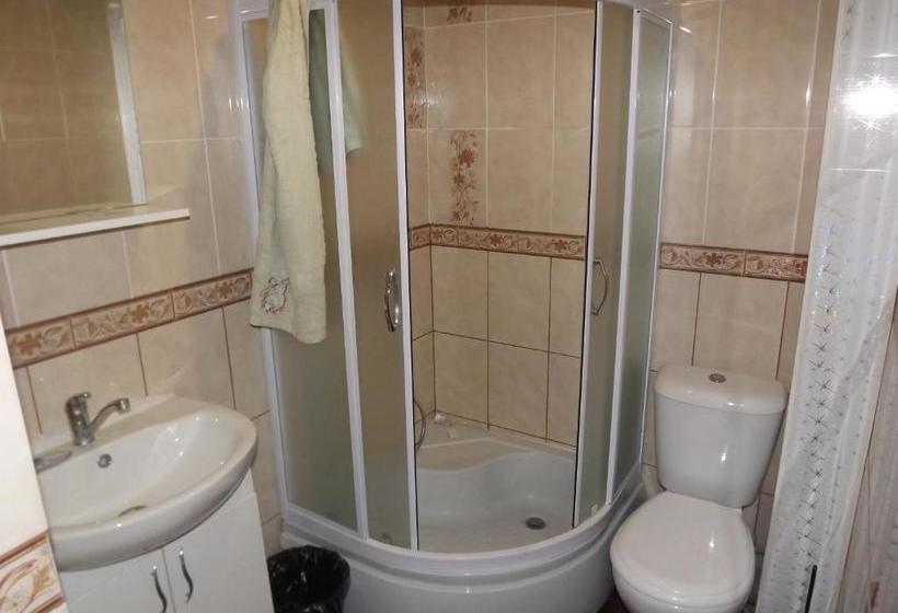 פנסיון шинок