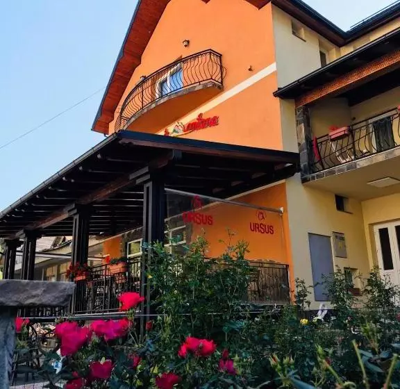 Pensiunea Montana Borșa Mm