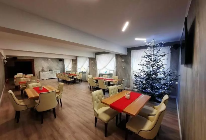 Pensiunea Montana Borșa Mm