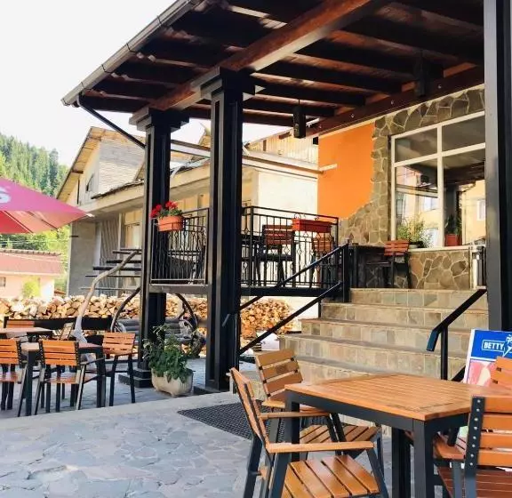 Pensiunea Montana Borșa Mm