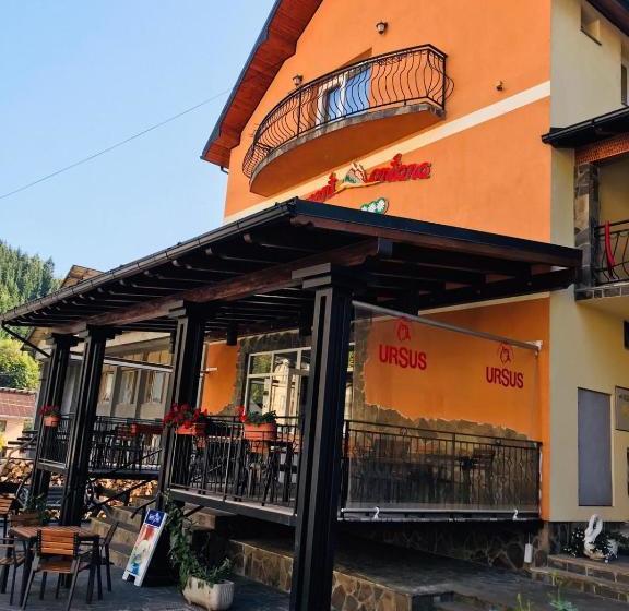 Pensiunea Montana Borșa Mm