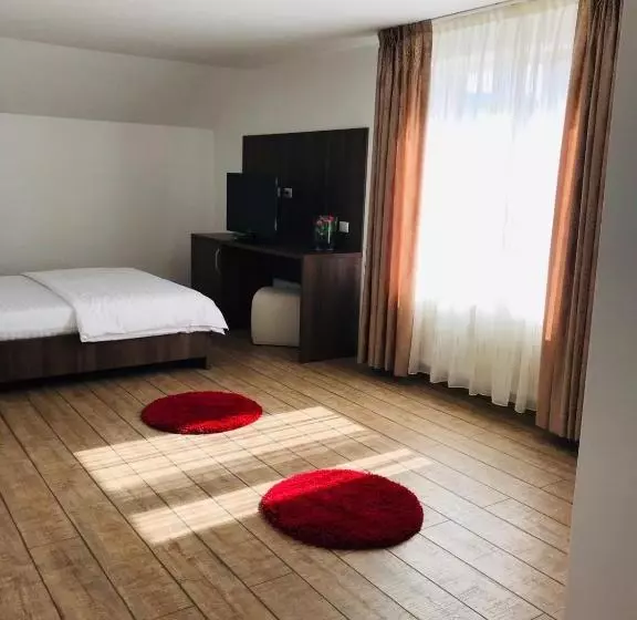 Pensiunea Montana Borșa Mm