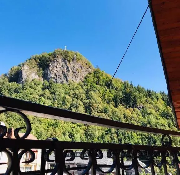 Pensiunea Montana Borșa Mm