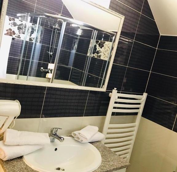 Pensiunea Montana Borșa Mm