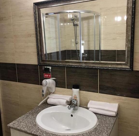 Pensiunea Montana Borșa Mm