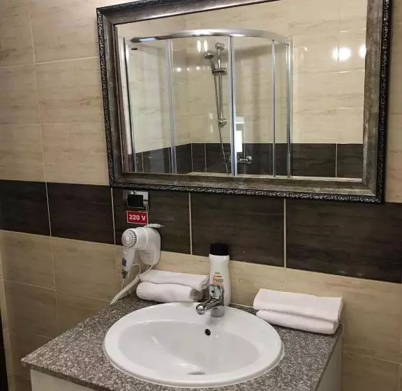 Pensiunea Montana Borșa Mm