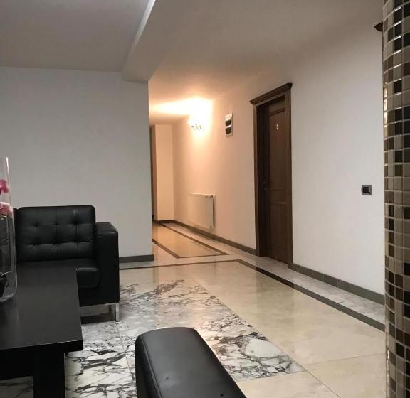 Pensiunea Montana Borșa Mm