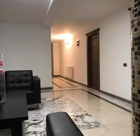 Pensiunea Montana Borșa Mm