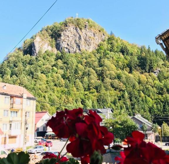 Pensiunea Montana Borșa Mm