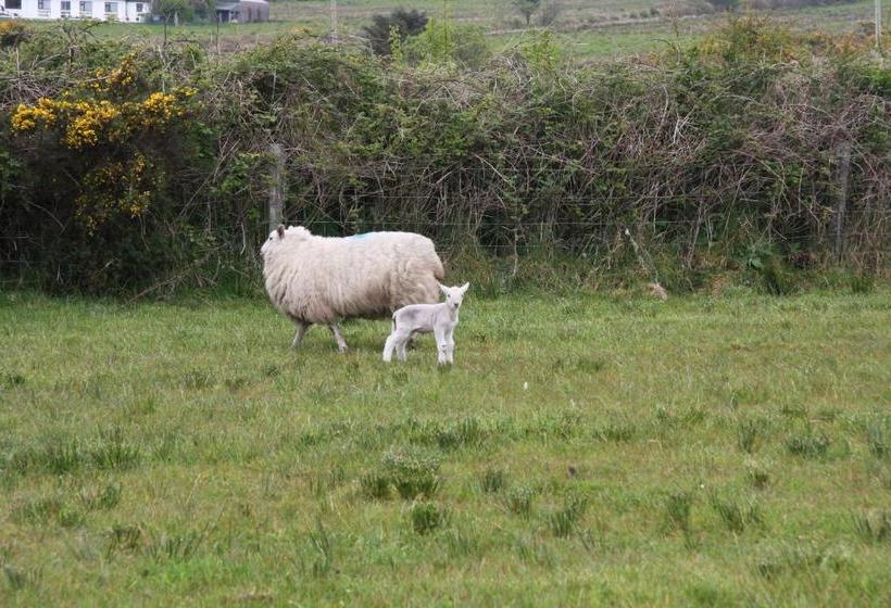 The Old School House B&b