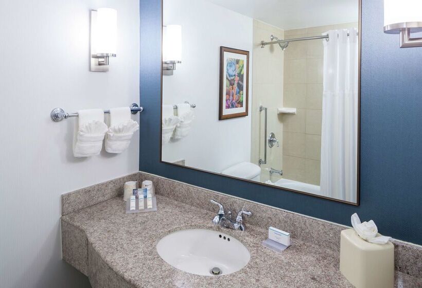 酒店 Hilton Garden Inn Dallas Allen