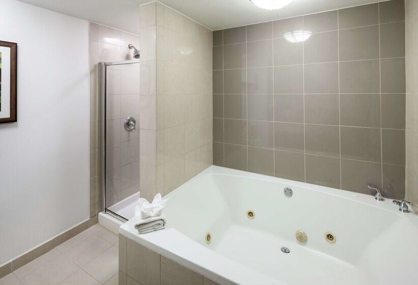 酒店 Hilton Garden Inn Dallas Allen