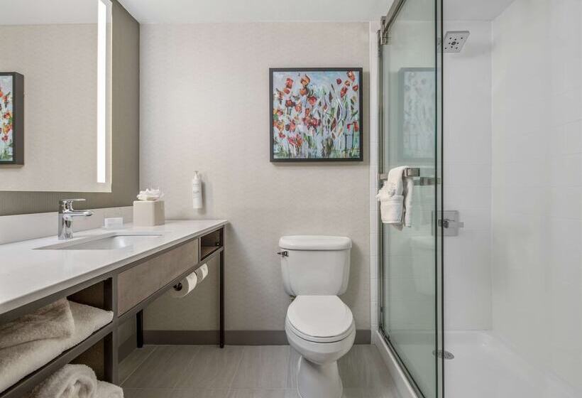 酒店 Hilton Garden Inn Dallas Allen