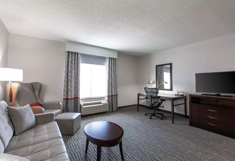هتل Hilton Garden Inn Lynchburg