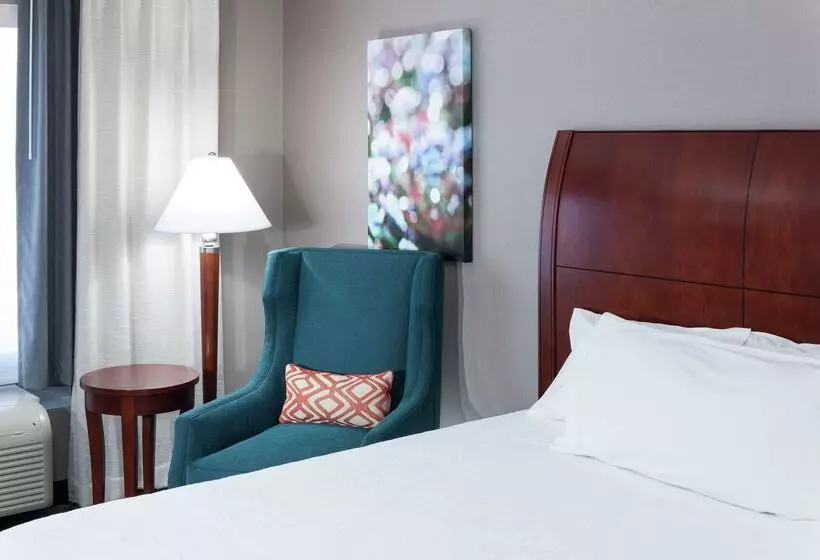 ホテル Hilton Garden Inn Naperville/warrenville