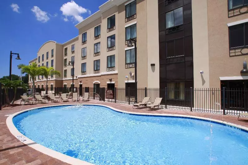 Holiday Inn Express Hotel & Suites Tampa Usf Busch Gardens, An Ihg