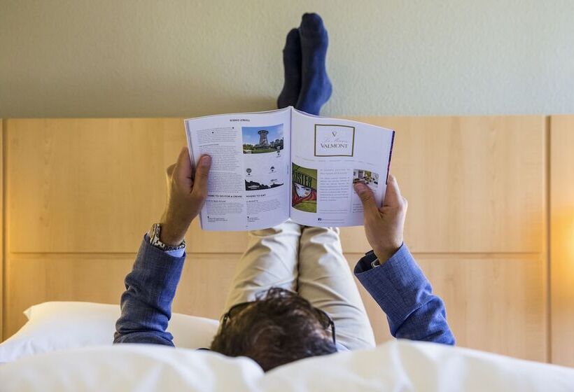 בית מלון כפרי Ibis Basel Bahnhof