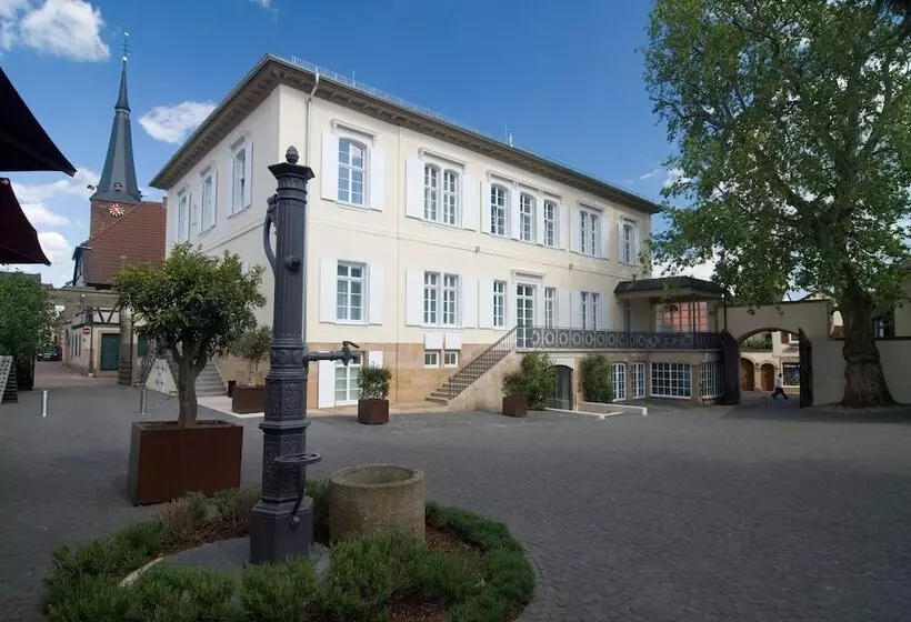 酒店 Ketschauer Hof