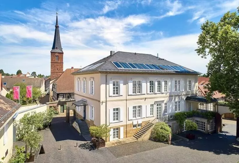 酒店 Ketschauer Hof