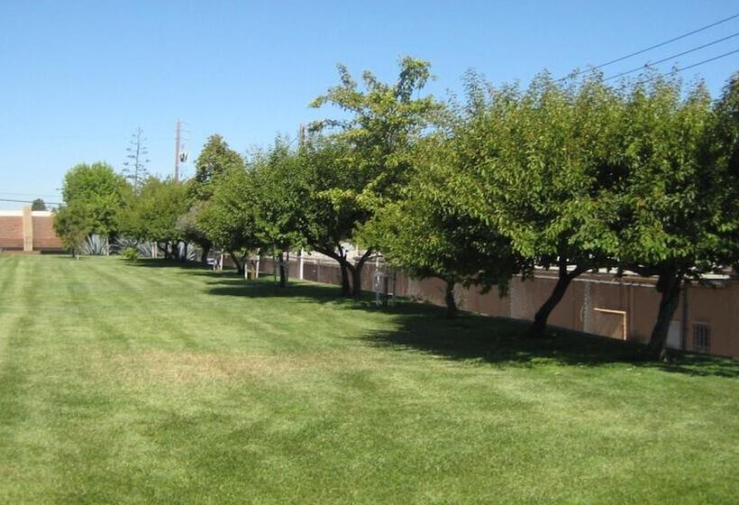 هتل Solaire Inn & Suites