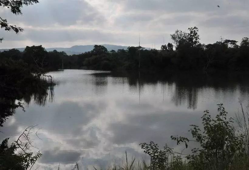 酒店 Tzaneen Country Lodge