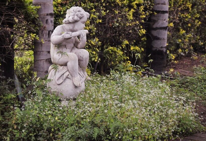 فندق Tzaneen Country Lodge