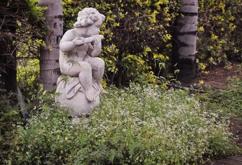 酒店 Tzaneen Country Lodge