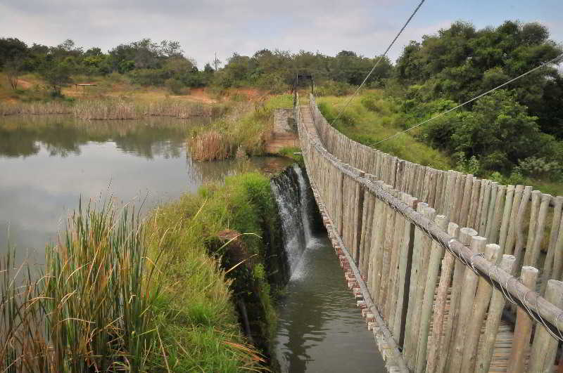 فندق Tzaneen Country Lodge