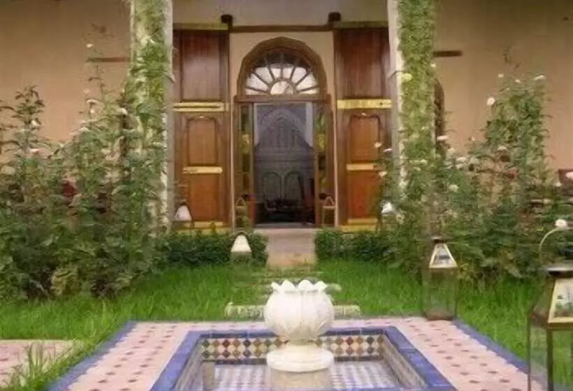 Riad Au 20 Jasmins