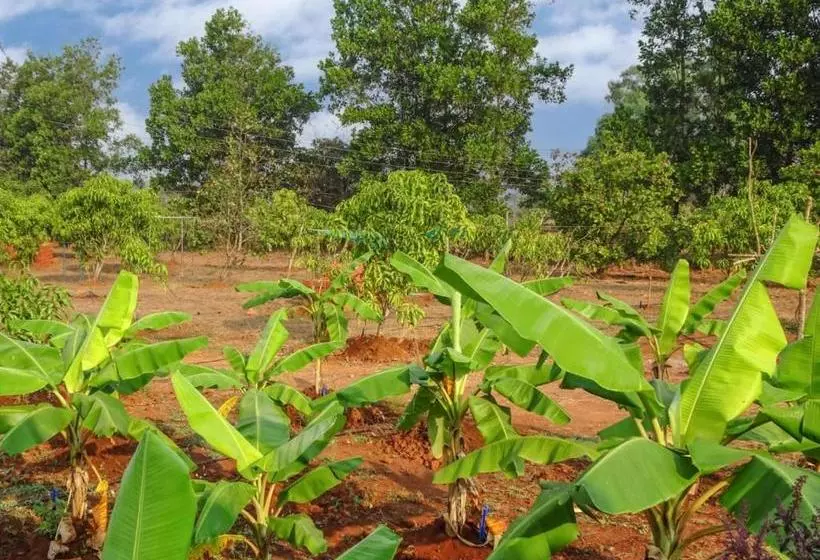 Aamiaismajoitus (B&B) Aarya Farm