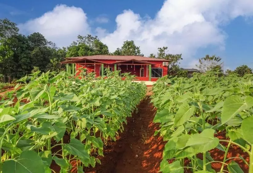Aamiaismajoitus (B&B) Aarya Farm
