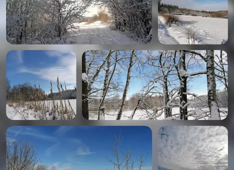 ホテル Landgasthof Plohnbachtal Ug