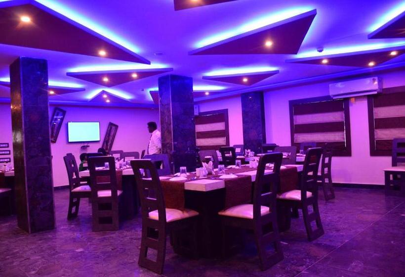 Hotel Dolphin Chocolate Inn