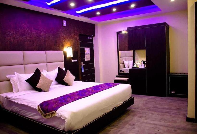 Hotel Dolphin Chocolate Inn