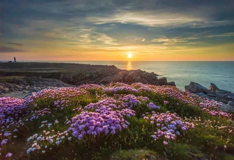 Hotelli Ostán Oileán Thoraí Tory Island