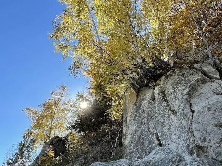 Majatalo Alunis Retreat