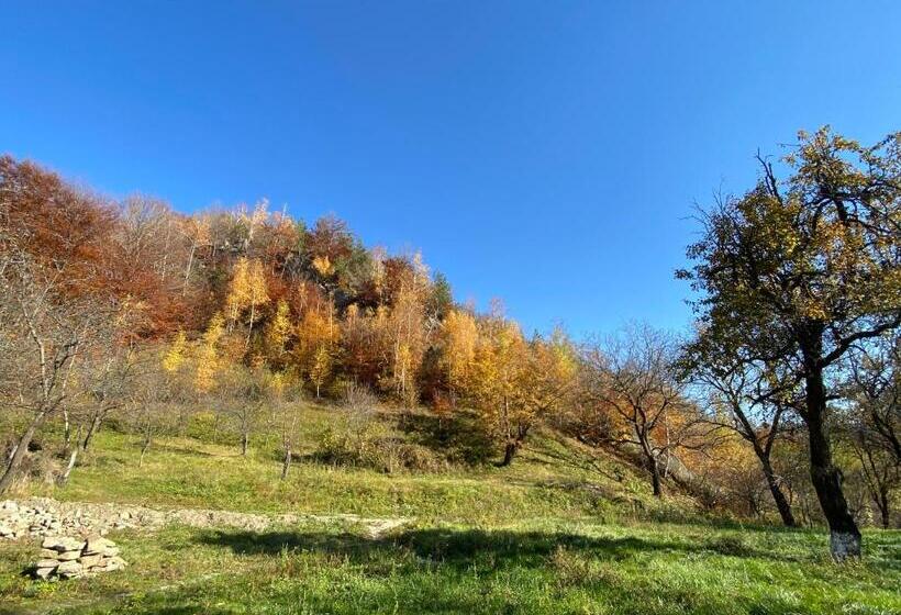 펜션 Alunis Retreat