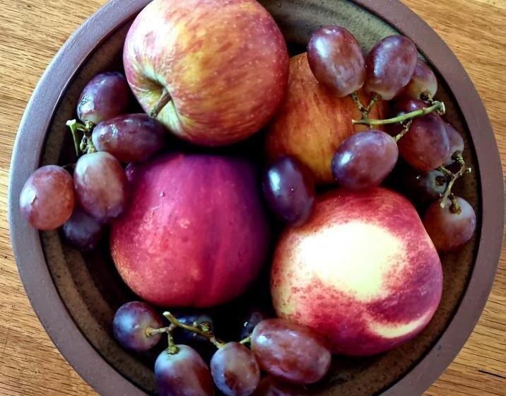 膳宿费 Camelia Guest House