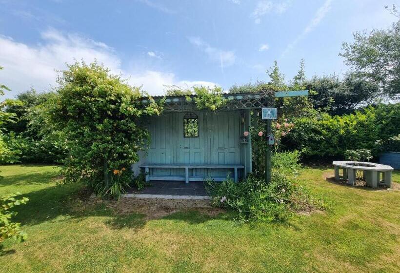 مبيت وإفطار Oak Tree Lane Country B And B