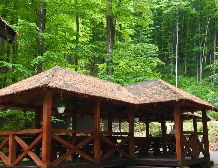 호텔 база відпочинку шиповець