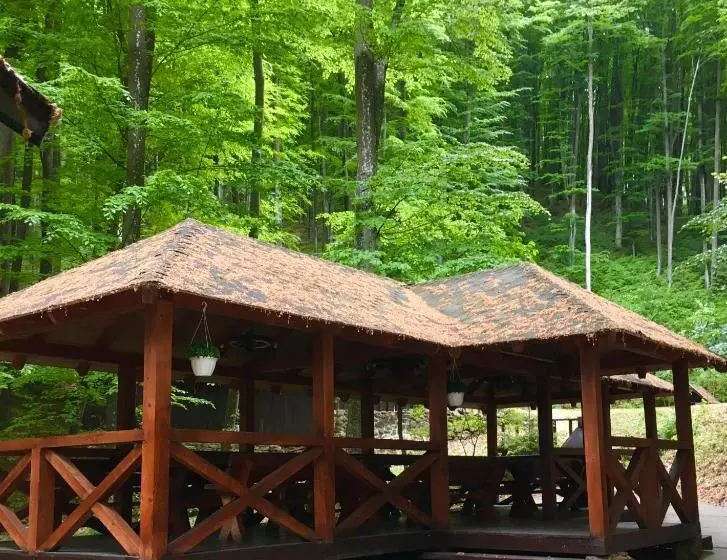 Hotelli база відпочинку шиповець