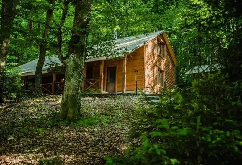 Hotelli база відпочинку шиповець