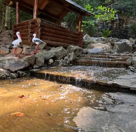 Hotelli база відпочинку шиповець