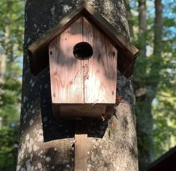 Hotelli база відпочинку шиповець