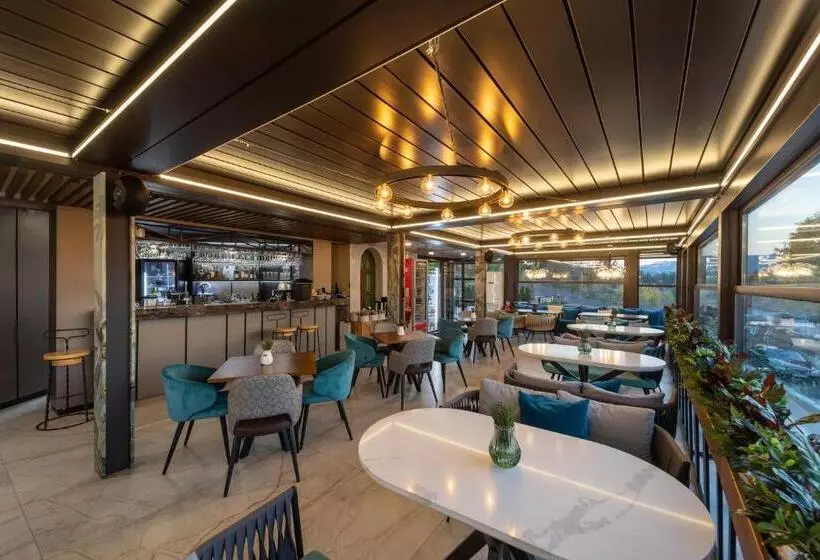 Hotelli Villa Euphoria