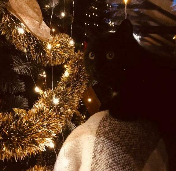 호텔 база відпочинку шиповець