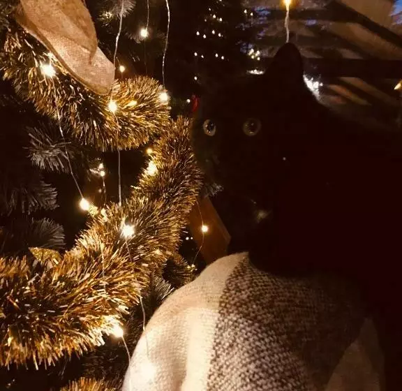 Hotelli база відпочинку шиповець