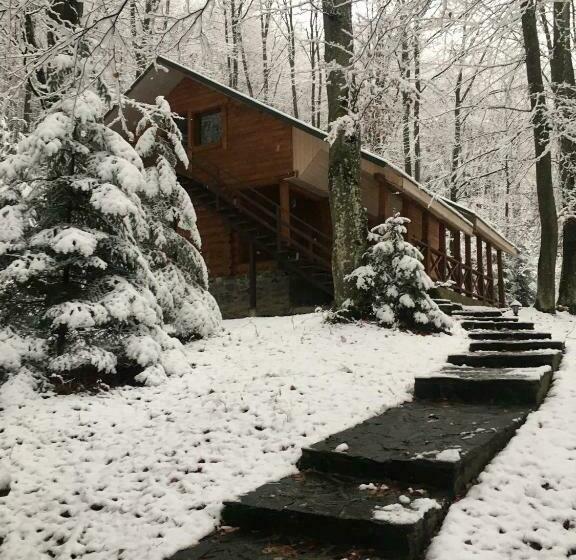 호텔 база відпочинку шиповець