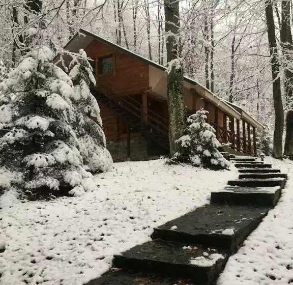 Hotelli база відпочинку шиповець