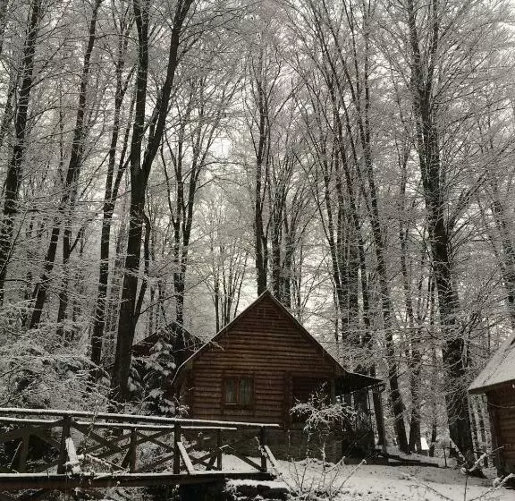 Hotelli база відпочинку шиповець